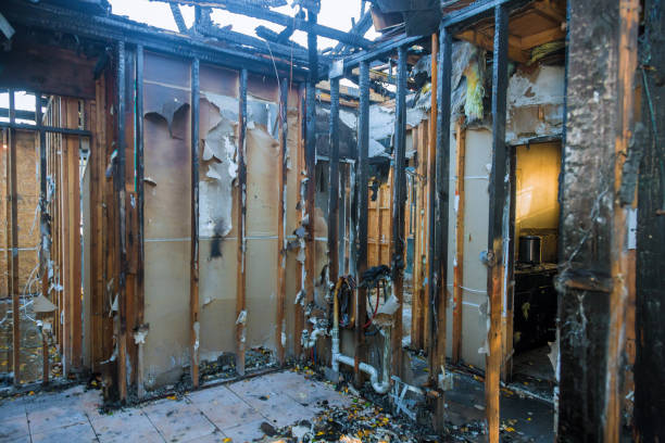 Professional Odor Removal technician working in Monticello, GA